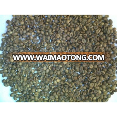 VIETNAM ROBUSTA COFFEE / ARABIA COFFEE BEANS / GREEN COFFEE BEAN( WHATSAPP: 0084 164 9078 009 )