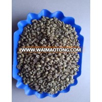 VIETNAM ROBUSTA COFFEE BEANS SCR#16